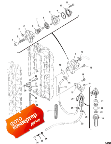 Fuel Pump (��������� �����)