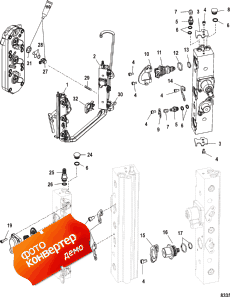 Fuel Rails (��������� ����������s)