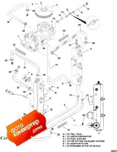 Fuel Rails (��������� ����������s)