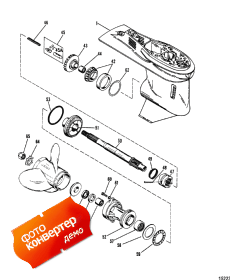 Gear Housing (propeller Shaft) (�������� ������ (��� �������� �����))