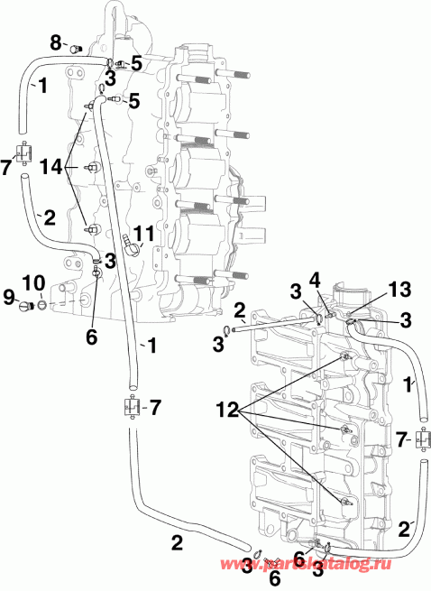 ��������� ��������� Evinrude E75DPLSCB  - linder / ������ ��������� Fittings & Oil Recirculation �����s