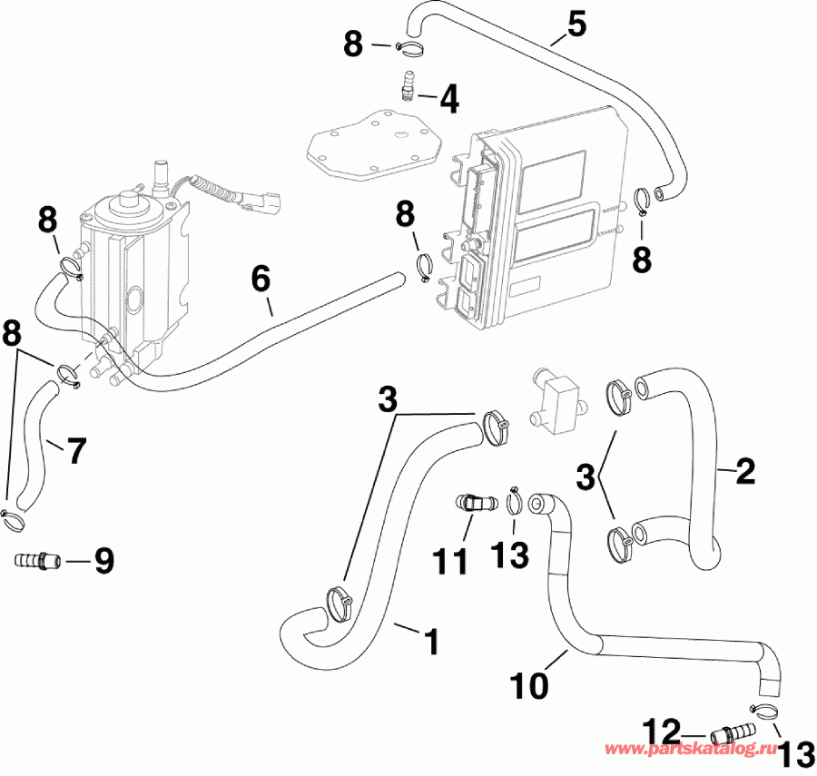 ��������� ����� Evinrude E225DCXABB  - ������ ���������� / cooling Hoses
