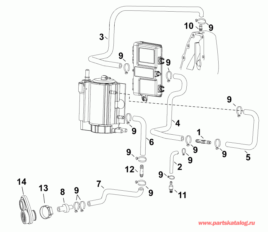 �������� ����� EVINRUDE E55MJRLABB  - cooling Hoses / ������ ����������