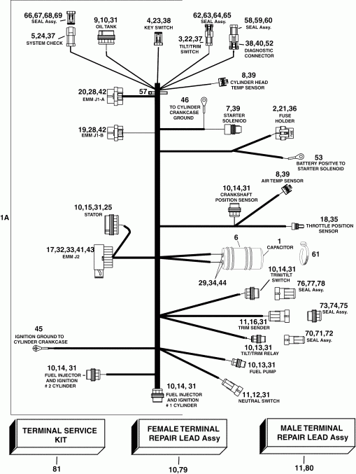 ��������� Evinrude E40DPLSRC  - gine Electrical Harness - gine ��������� - ���� ��������