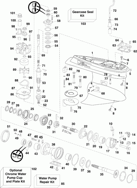 ��������� Evinrude E250DCXSCM  - arcase