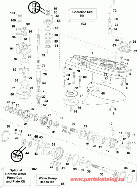 ��������� ��������� EVINRUDE E250DCZSCF  - arcase / arcase
