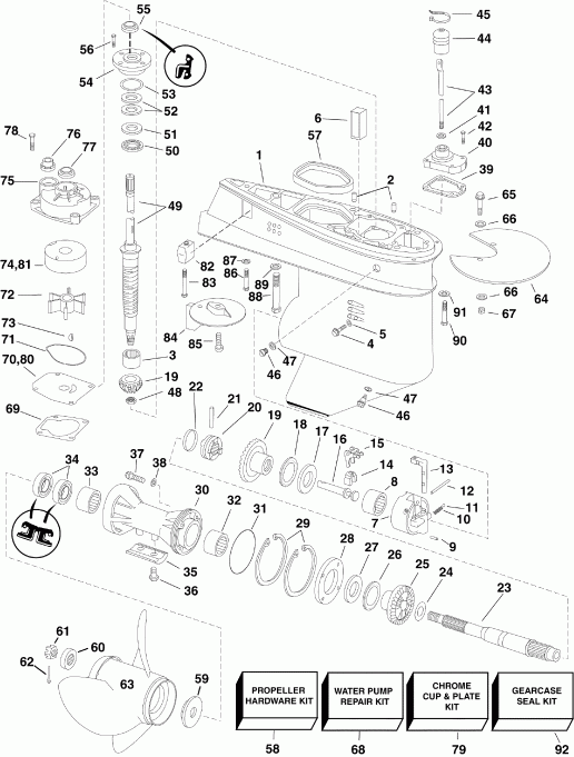 ��������� EVINRUDE E55MRLSER  - arcase / arcase