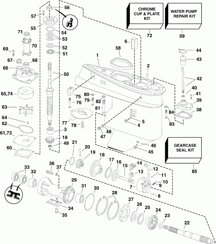 ��������� ����� Evinrude E65WDRYSEC  - arcase