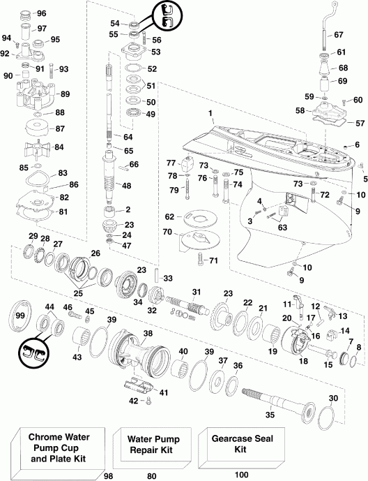 ��������� ��������� EVINRUDE E250DCZISF  - arcase