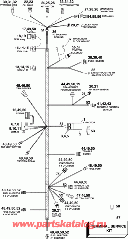 �������� ��������� ����� EVINRUDE E75DSLISF  - gine Electrical Harness / gine ��������� - ���� ��������
