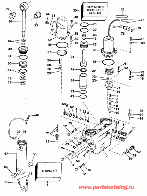 ��������� �������� ����� EVINRUDE XE112TSXEDR 1996  - wer Trim/tilt Hydraulic Assembly / wer Trim / tilt Hydraulic Assembly